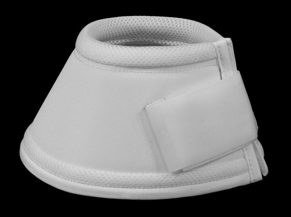 Hufglocken-weiß